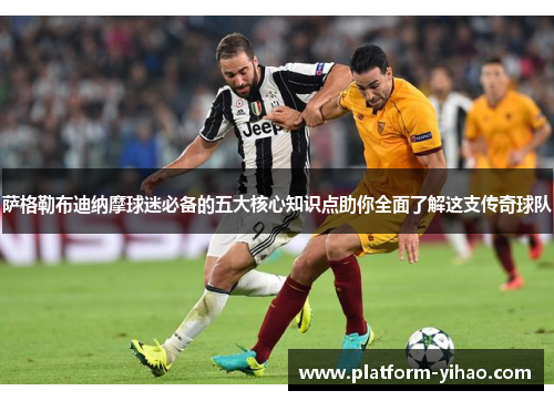 萨格勒布迪纳摩球迷必备的五大核心知识点助你全面了解这支传奇球队