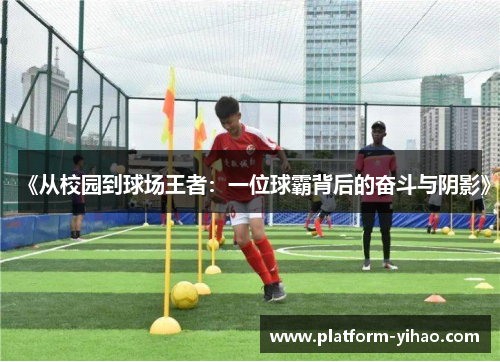 《从校园到球场王者：一位球霸背后的奋斗与阴影》