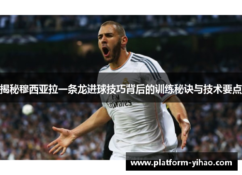 揭秘穆西亚拉一条龙进球技巧背后的训练秘诀与技术要点