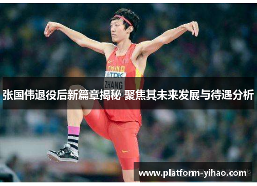 张国伟退役后新篇章揭秘 聚焦其未来发展与待遇分析